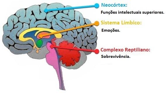 neuromarketing e vendas para profissionais de saúde